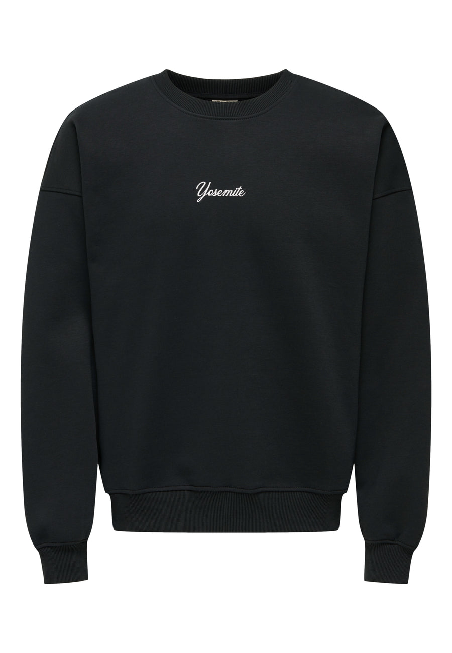 Only & Sons CONNOR Pullover