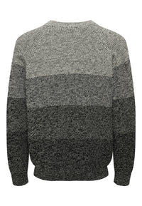 Only & Sons BIRK Strickpullover R-Neck