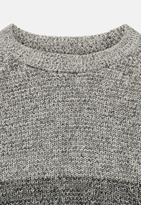 Only & Sons BIRK Strickpullover R-Neck