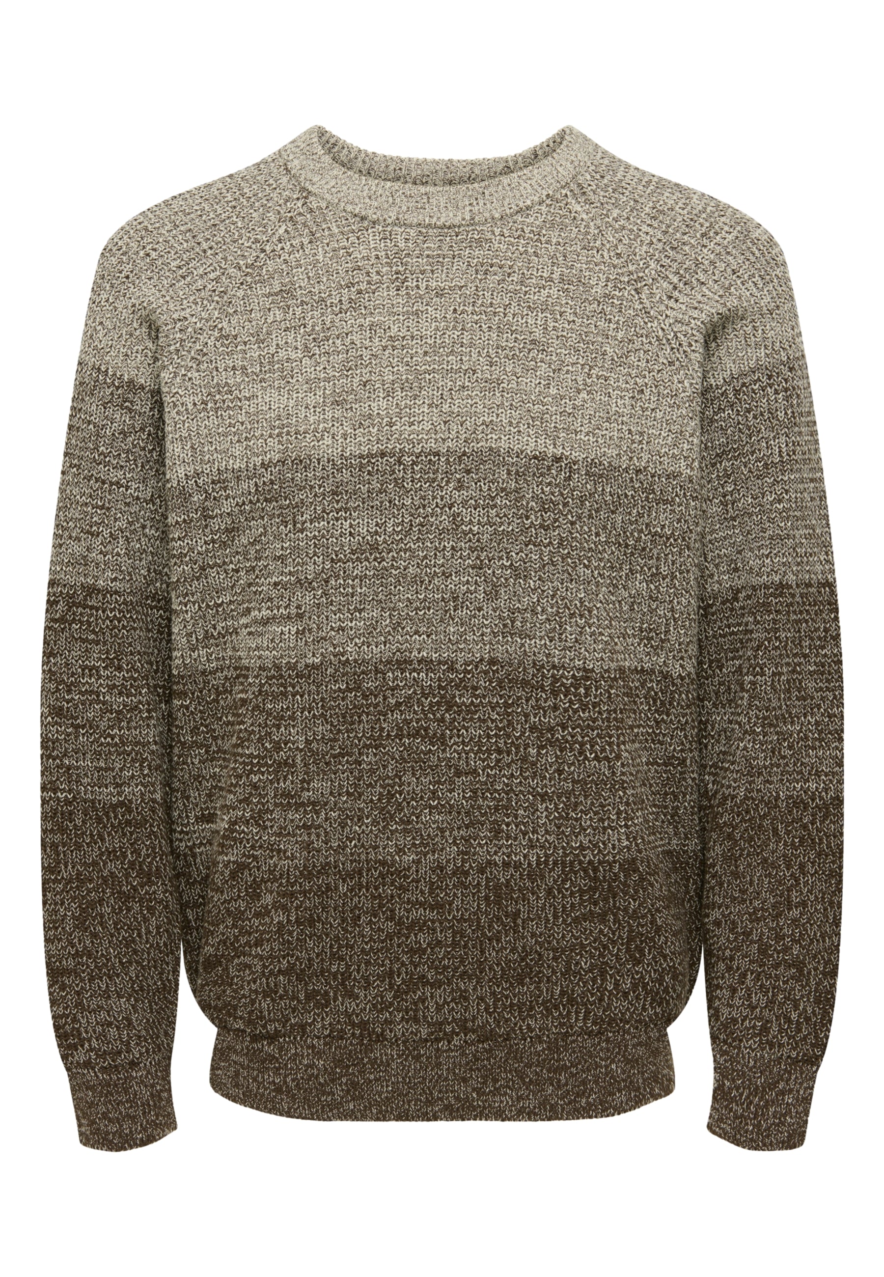 Only & Sons BIRK Strickpullover R-Neck
