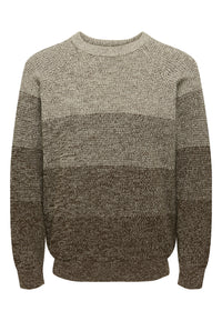 Only & Sons BIRK Strickpullover R-Neck