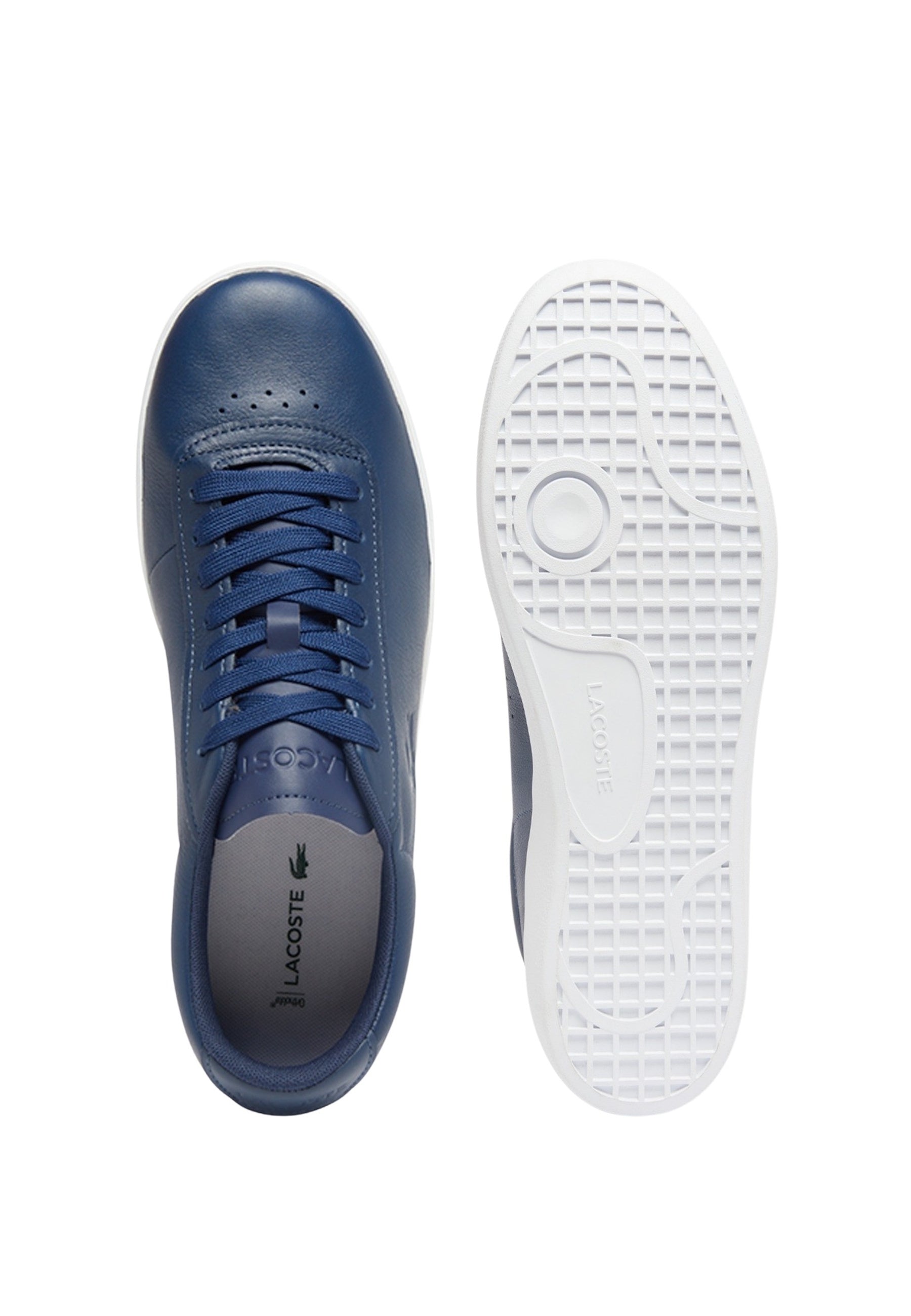 Lacoste BASESHOT EVO Sneaker