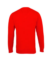 U.S. POLO Pullover Sweater V-Neck Polo-Logo