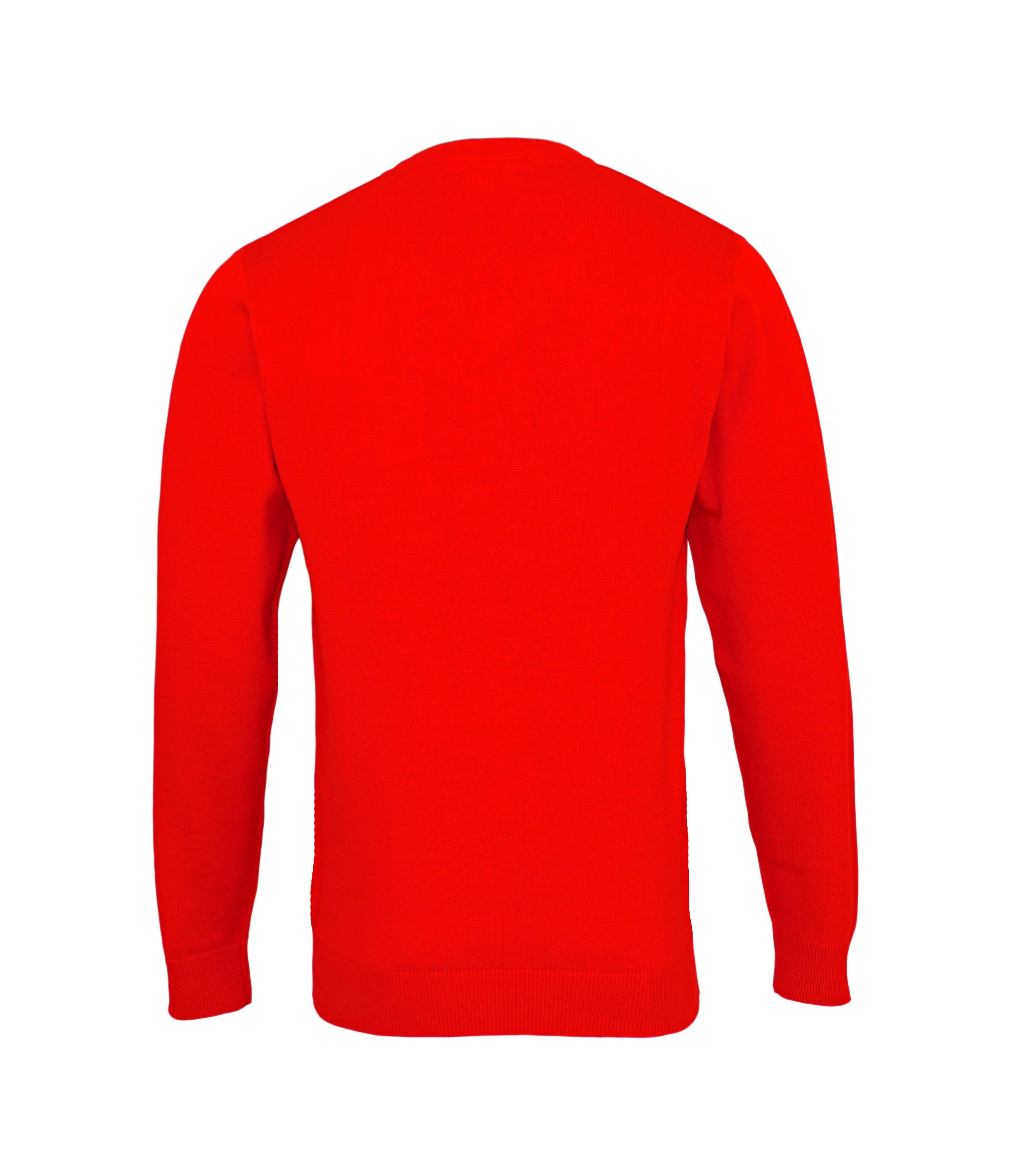 U.S. POLO Pullover Sweater V-Neck Polo-Logo