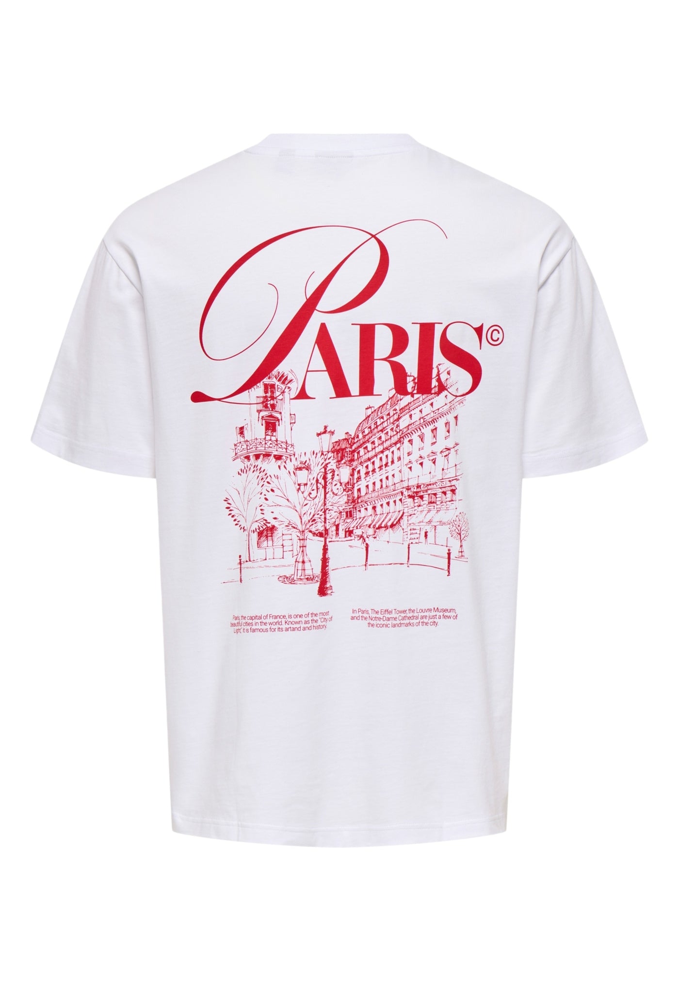 Only & Sons Fred Elegants Kurzarmshirt