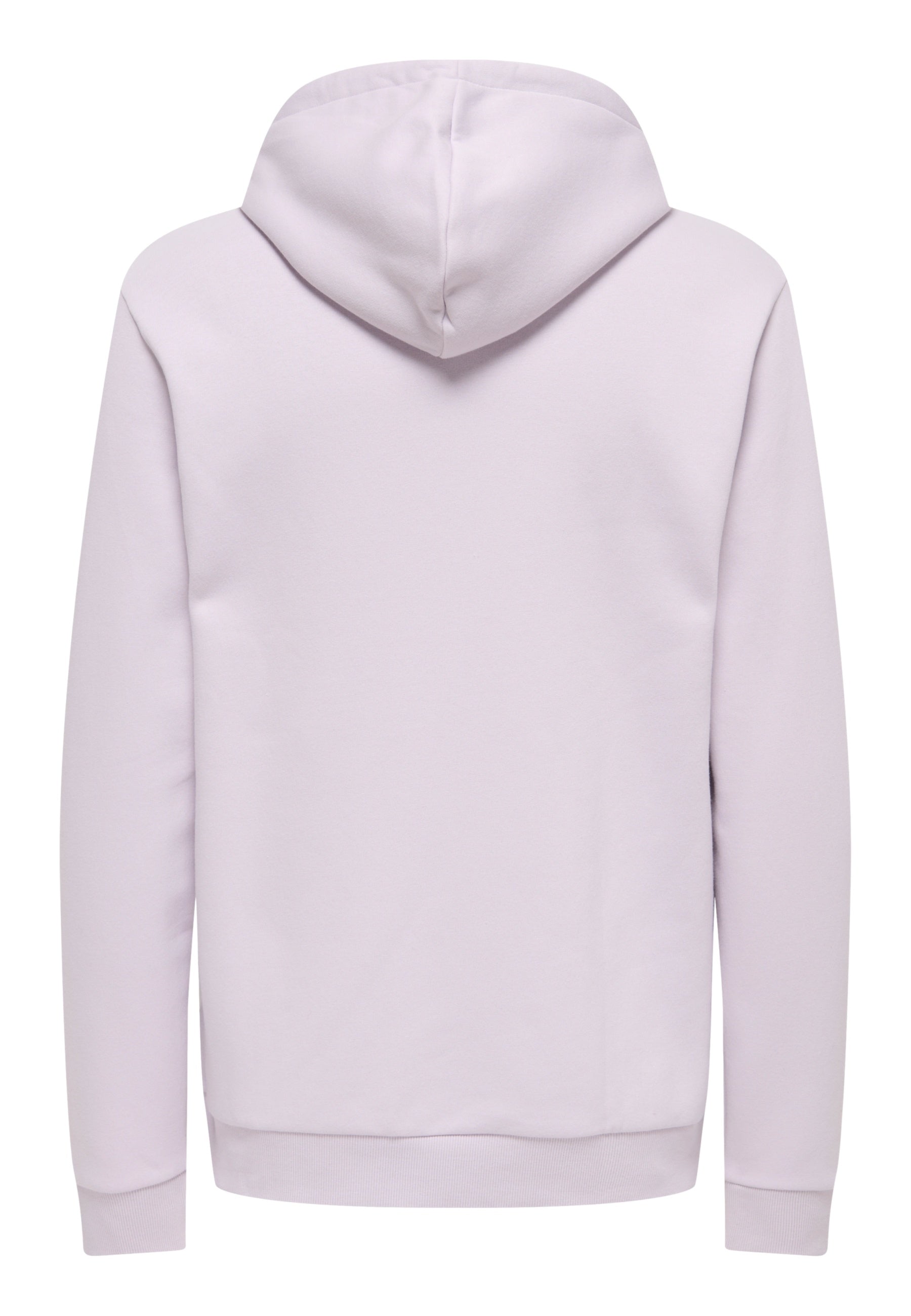 Only & Sons Ceres Hoodie