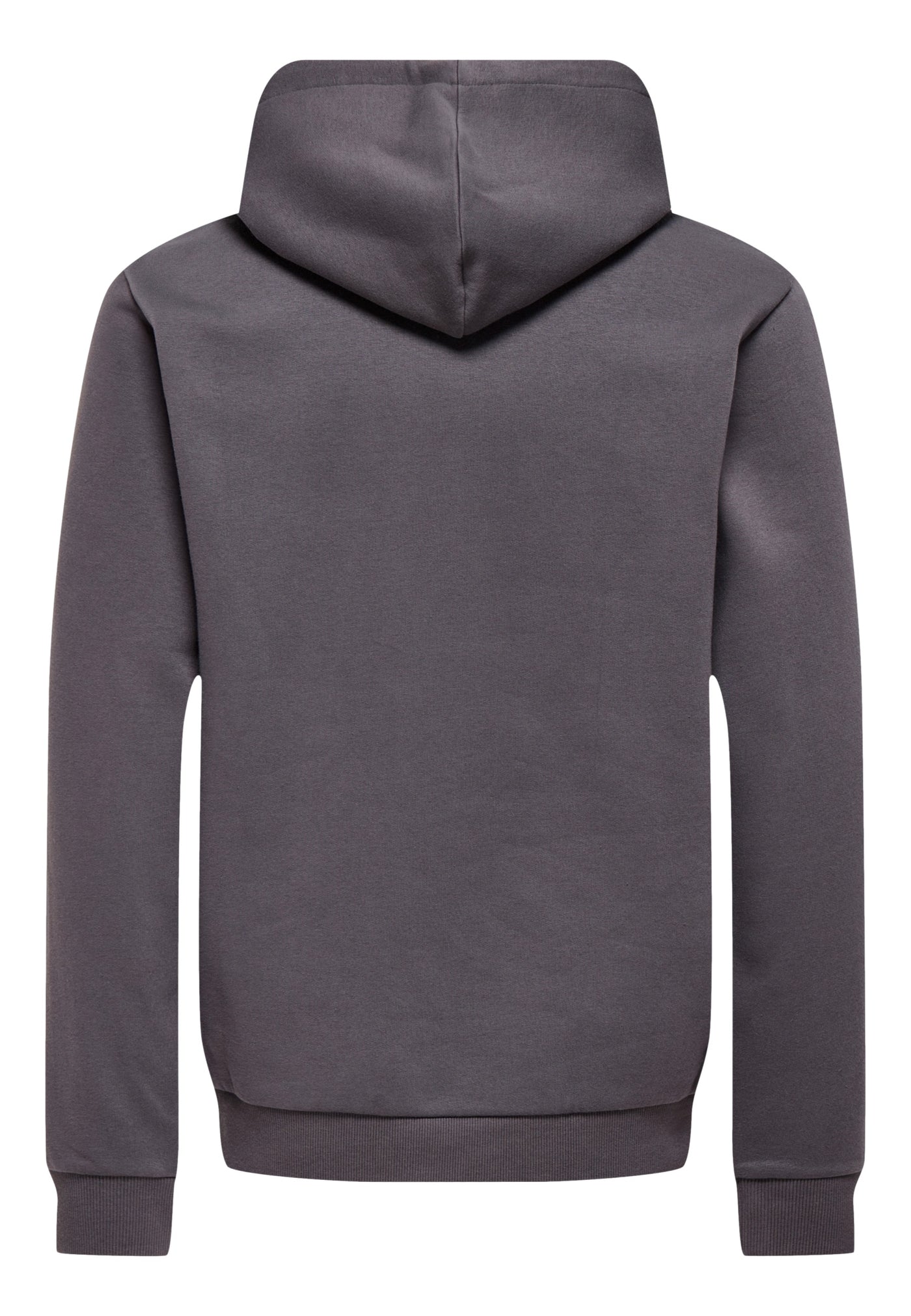 Only & Sons Ceres Hoodie