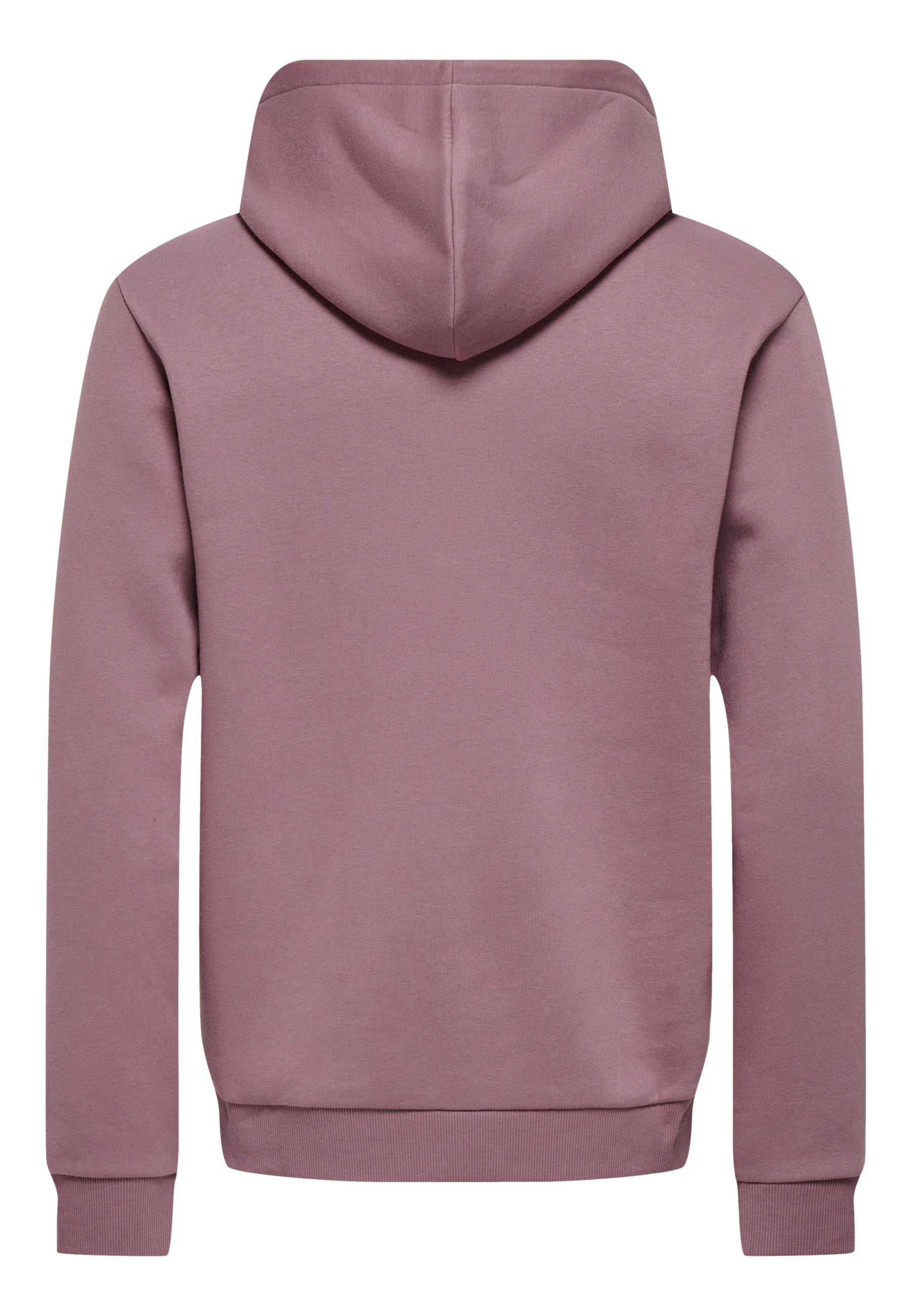 Only & Sons Ceres Hoodie