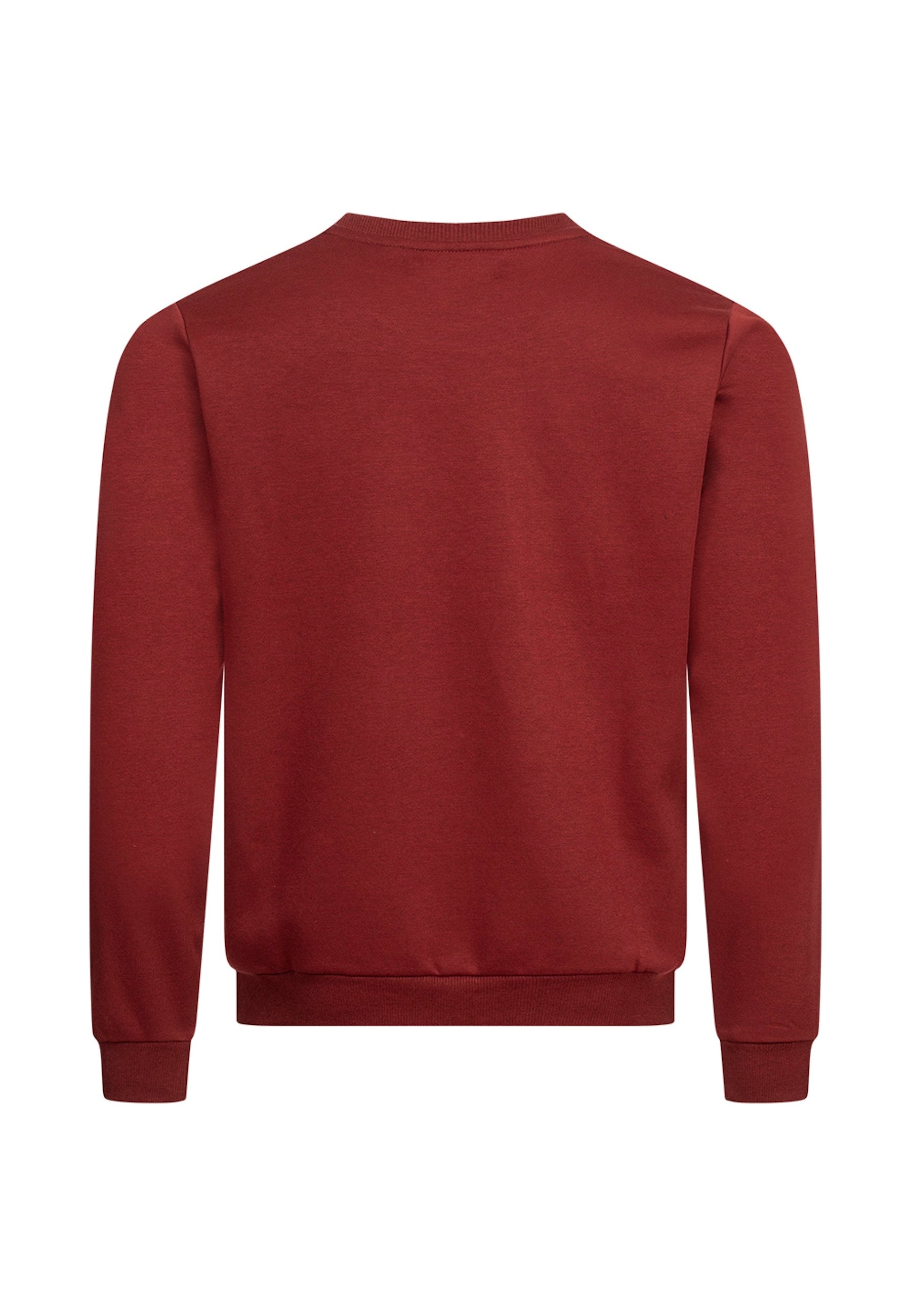 Pierre Cardin Pullover