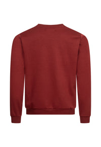 Pierre Cardin Pullover
