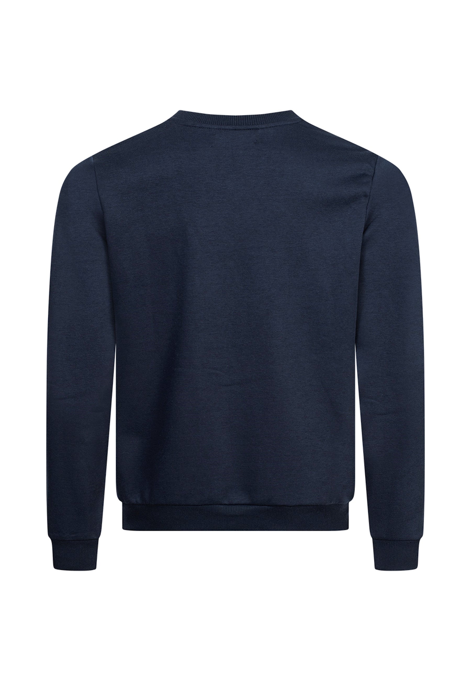 Pierre Cardin Pullover