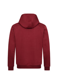 Pierre Cardin Hoodie